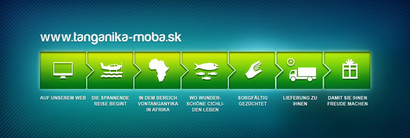 Auf unserem Web, Die spannende Reise begint, In dem Bereich vonTanganyika in Afrika, wo wunderschöne Cichliden leben, Sorgfältig gezüchtet, Lieferung zu Ihnen, Damit sie Ihnen Freude machen.