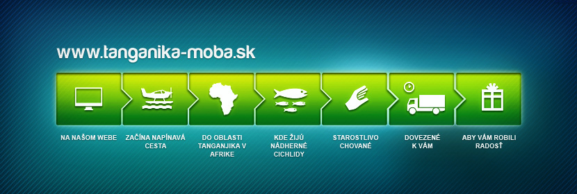 Na našom webe začína napínavá cesta do oblasti Tanganjika v Afrike, kde žijú nádherné cichlidy, starostlivo chované, dovezené k vám aby Vám robili radosť.